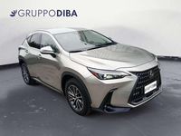 Usata Lexus NX350h 243 CV (178 kW) 2023 Grigio SUV