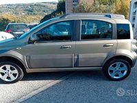 Usata Fiat Panda 4x4 Cross 75 CV (55 kW) 2010 Verde Utilitaria