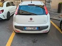 Usata Fiat Punto Evo 75 CV (55 kW) 2010 Bianco Utilitaria