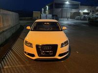 Usata Audi A3 Ambition 140 CV (102 kW) 2011 Bianco Utilitaria