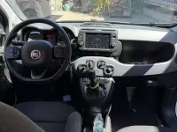 Usata Fiat Panda City Life 69 CV (50 kW) 2022 Utilitaria