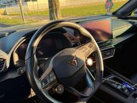 Usata Cupra Formentor VZ 310 CV (228 kW) 2020 SUV