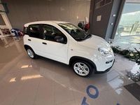 Usata Fiat Panda Cross Cross 69 CV (50 kW) 2024 Bianco Utilitaria