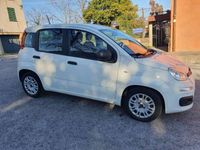 Usata Fiat Panda Easy 69 CV (50 kW) 2020 Bianco Utilitaria