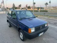 Usata Fiat Panda 4x4 Trekking 54 CV (39 kW) 1999 Blu Utilitaria