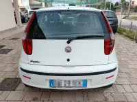 Usata Fiat Punto Active 60 CV (44 kW) 2009 Bianco Utilitaria