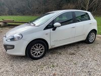 Usata Fiat Punto Evo 2012 Bianco Utilitaria