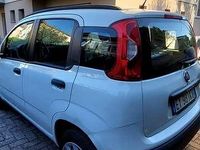 Usata Fiat Panda Young 80 CV (58 kW) 2015 Bianco Utilitaria