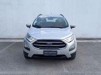 usata Ford Ecosport 1.0 EcoBoost 125 CV Automatica S&S Business