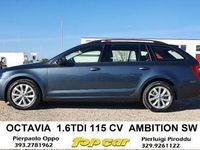 Usata Skoda Octavia Ambition 116 CV (85 kW) 2019 Antracite metallizzato Station wagon