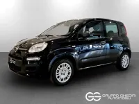 Nuova Fiat Panda Icon 65 CV (47 kW) 2026 Nero cinema pastello Utilitaria