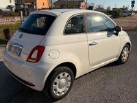 Usata Fiat 500 Pop 69 CV (50 kW) 2020 Bianco Utilitaria