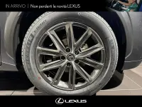 Usata Lexus LBX 136 CV (100 kW) 2024 Saddle tan SUV