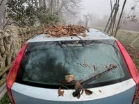 Usata Fiat Punto 80 CV (58 kW) 1999 Berlina