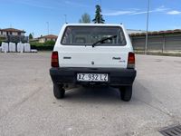 usata Fiat Panda 900 i.e. cat Young