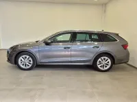 Occasion Skoda Octavia Executive 116 ch (85 kW) 2023 Gris Break