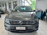 Usata VW Tiguan Advance 150 CV (110 kW) 2019 Grigio SUV