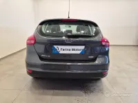 Usata Ford Focus S 101 CV (74 kW) 2015 Grigio Berlina
