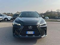 Usata Lexus NX300 243 CV (178 kW) 2023 Other SUV