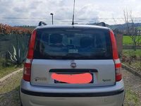 Usata Fiat Panda 77 CV (56 kW) 2009 Utilitaria