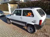 Usata Fiat Panda 4x4 54 CV (39 kW) 2002 Bianco Utilitaria