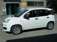 Usata Fiat Panda Easy 69 CV (50 kW) 2017 Bianco Utilitaria
