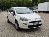 Usata Fiat Punto Evo Lounge 77 CV (56 kW) 2014 Bianco Utilitaria