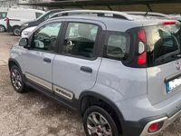 Usata Fiat Panda 4x4 2018 Grigio Utilitaria