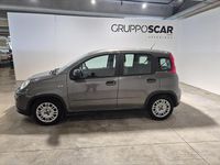 Usata Fiat Panda S 70 CV (51 kW) 2022 Grigio Utilitaria