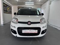 Usata Fiat Panda 70 CV (51 kW) 2021 Bianco Utilitaria