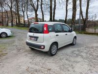 usata Fiat Panda 1ª serie 30 CL