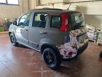 Usata Fiat Panda 4x4 S 86 CV (63 kW) 2020 Utilitaria