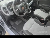 Usata Fiat Panda 69 CV (50 kW) 2020 Grigio Utilitaria
