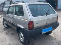Usata Fiat Panda 4x4 Trekking 54 CV (39 kW) 1999 Grigio Utilitaria
