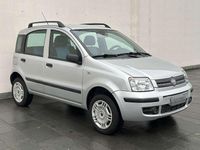 Usata Fiat Panda Cross 60 CV (44 kW) 2009 Argento Utilitaria