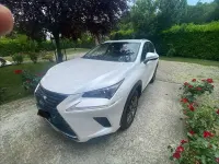 Usata Lexus NX300h Business Edition 155 CV (114 kW) 2020 Bianco SUV
