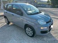 Usata Fiat Panda Lounge 84 CV (61 kW) 2020 Grigio Utilitaria