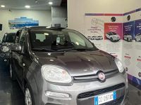 Usata Fiat Panda Lounge 69 CV (50 kW) 2019 Grigio Utilitaria