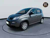 Usata Fiat Panda S 69 CV (50 kW) 2023 Grigio Utilitaria