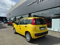 Nuova Fiat Panda Icon 64 CV (47 kW) 2026 Giallo sole (pastello) Utilitaria