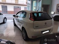 Usata Fiat Punto Lounge 69 CV (50 kW) 2013 Bianco Utilitaria