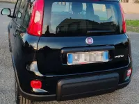 Usata Fiat Panda Cross Cross 69 CV (50 kW) 2021 Utilitaria