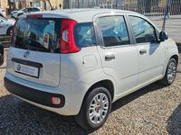 Usata Fiat Panda Easy 69 CV (50 kW) 2020 Bianco Berlina