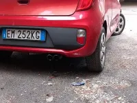 Usata Kia Picanto 69 CV (50 kW) 2013 Rosso Utilitaria