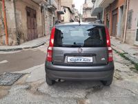 Usata Fiat Panda Dynamic 69 CV (50 kW) 2012 Grigio Berlina
