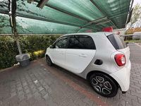 Usata Smart ForFour Prime 71 CV (52 kW) 2016 Utilitaria