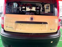 Usata Fiat Panda Active 60 CV (44 kW) 2009 Giallo Utilitaria