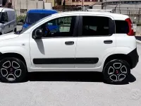 Usata Fiat Panda 4x4 Pop 85 CV (62 kW) 2021 Bianco Utilitaria