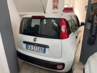 Usata Fiat Panda Easy 75 CV (55 kW) 2015 Bianco Utilitaria