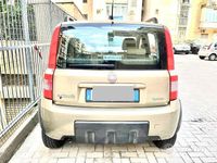 Usata Fiat Panda 77 CV (56 kW) 2009 Marrone Utilitaria